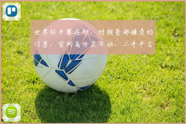 世界杯开赛在即,特朗普都嫌贵的门票,官网高价卖不动,二手平台却在整排抛售?每经独家对话“举报人”经济学家弗洛里安·埃德勒