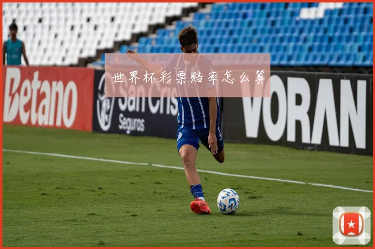 世界杯彩票赔率怎么算