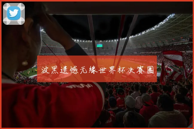 波黑遗憾无缘世界杯决赛圈