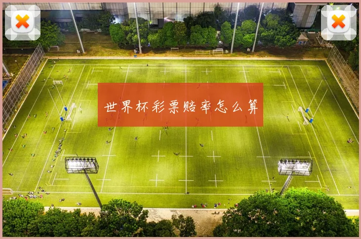 世界杯彩票赔率怎么算