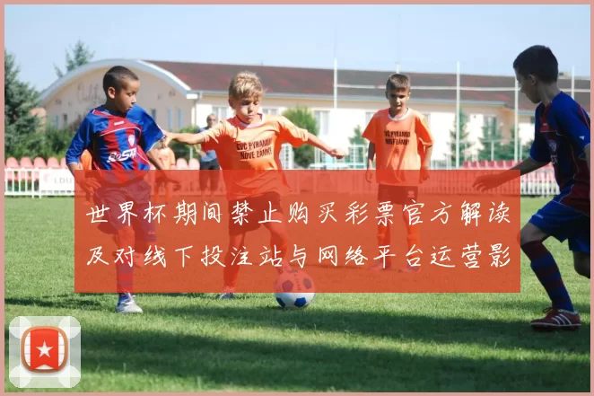 世界杯期间禁止购买彩票官方解读及对线下投注站与网络平台运营影响