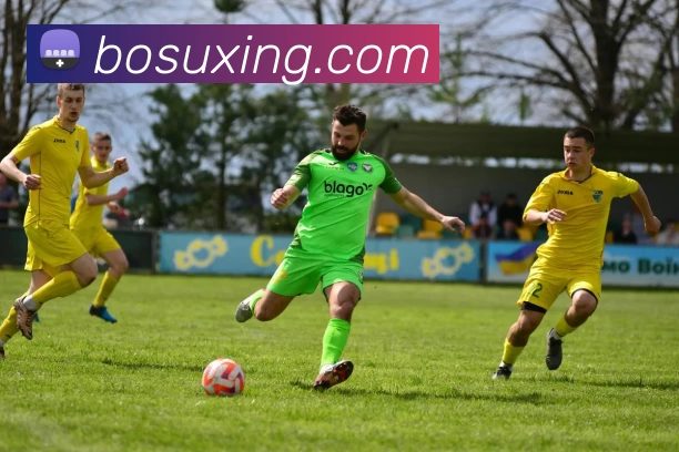 多媒体互动体验